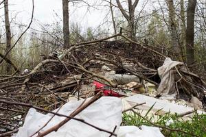 discarica nella foresta vicino alla strada. vista dal basso foto