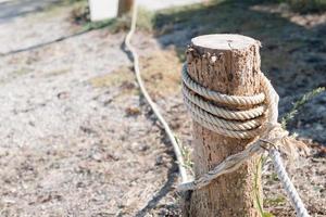 corda bianca legata al ceppo per bloccare il confine foto