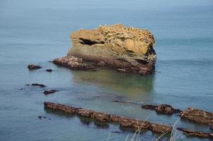 bassa marea, biarritz biscaglia foto