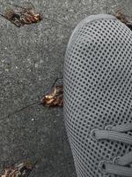 un uomo che calpesta lo scarafaggio su un terreno di cemento foto