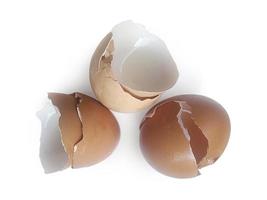 guscio d'uovo isolato su uno sfondo bianco foto