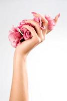 mani di bella donna con rosa