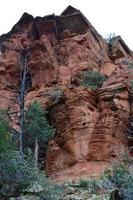 formazione rocciosa rossa geologica con un'infarinatura di albero foto