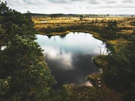 vista panoramica umida in lituania foto