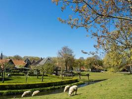 la città olandese enkhuizen foto