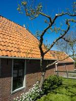 la città olandese enkhuizen foto