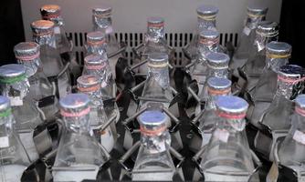 bottiglie da laboratorio che agitano la coltura microbica del tessuto liquido foto