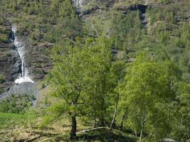 primavera a flam in norvegia foto