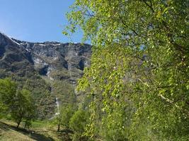 primavera a flam in norvegia foto