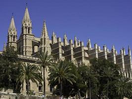 palma di maiorca in spagna foto