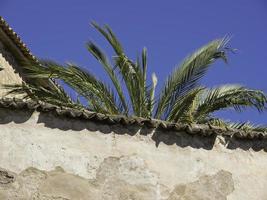 palma di maiorca in spagna foto