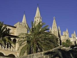 palma di maiorca in spagna foto