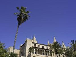 palma di maiorca foto