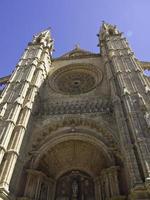 palma di maiorca foto