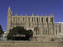 palma di maiorca foto