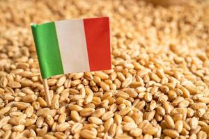 chicchi di grano con bandiera italia, esportazione commerciale e concetto di economia. foto