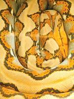 sfondo, struttura e motivo della pelle di serpente di pitone. foto