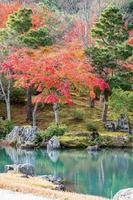 giardino di foglie colorate e stagno all'interno del tempio tenryuji, punto di riferimento e popolare per le attrazioni turistiche ad arashiyama, kyoto, giappone. autunno autunno stagione, vacanze, vacanze e concetto di visite turistiche foto