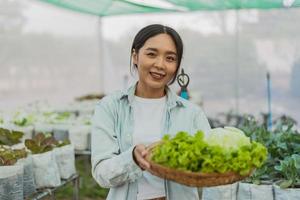 il giardiniere femminile ha raccolto le verdure fresche nella fattoria. contadino asiatico in azienda agricola biologica di verdure. concetto di fattoria biologica idroponica. foto