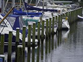 urk all'ijsselmeer nei Paesi Bassi foto