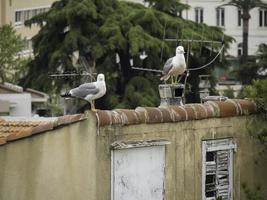 cannes in francia foto