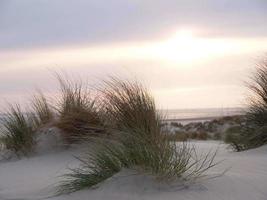 isola di borkum in germania foto