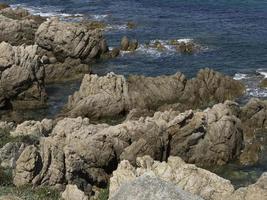 l'isola corsica foto