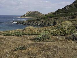 isola della corsica nel mar mediterraneo foto