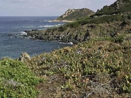 isola della corsica nel mar mediterraneo foto