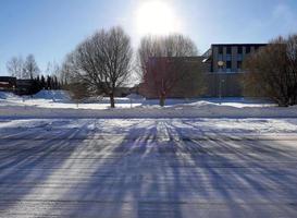 ombra di rami di alberi a terra ricoperta di neve bianca e luce solare sullo sfondo foto