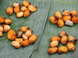 primo piano verme grasso del punteruolo rosso della palma su una foglia di banana spuntino fresco in vendita al mercato locale del fresco foto