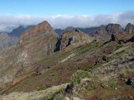 funchal e l'isola di Madera foto