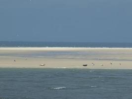 isola di borkum in germania foto