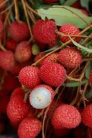 litchi, litchi freschi e pelati che mostrano la buccia rossa e la polpa bianca con foglia verde. foto