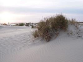 isola di borkum in germania foto