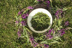 processo di fermentazione del tè. lavorazione manuale fermentazione del tè ivan foto