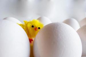 polli all'uovo sodo nella scatola delle uova. pollo artificiale sullo sfondo di uova di gallina foto