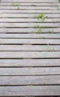 tavole di pallet in legno con erba e fiori selvatici, copia spazio sullo sfondo foto