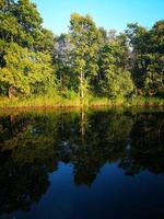 un fiume o un lago circondato da alberi foto