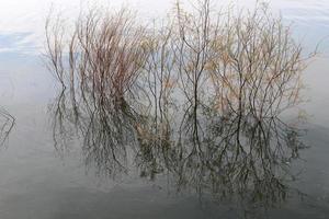 il lago kinneret è un lago d'acqua dolce nell'Israele nord-orientale. foto