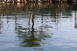 il lago kinneret è un lago d'acqua dolce nell'Israele nord-orientale. foto