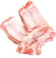 costola di maiale di carne cruda isolata su sfondo bianco foto