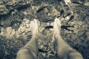 piedi di morso di pesce nell'acqua cenote tajma ha messico. foto