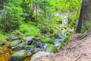 piccola cascata fiume e ruscello sulla montagna di Brocken Harz Germania. foto