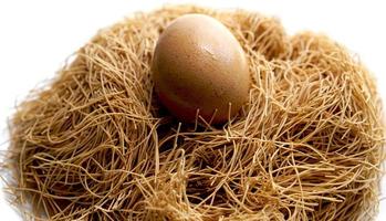 uovo e nido vicino su sfondo bianco foto