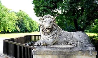 scultura del leone nel parco a vienna, austria foto