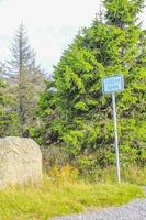 foresta di abeti morti al picco di montagna di Brocken Harz Germania. foto