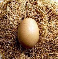 uovo e nido vicino sullo sfondo foto