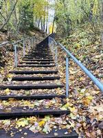 scala su. foresta autunnale. scala nel bosco foto