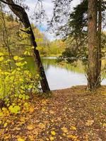 paesaggio autunnale con alberi, foresta e lago foto